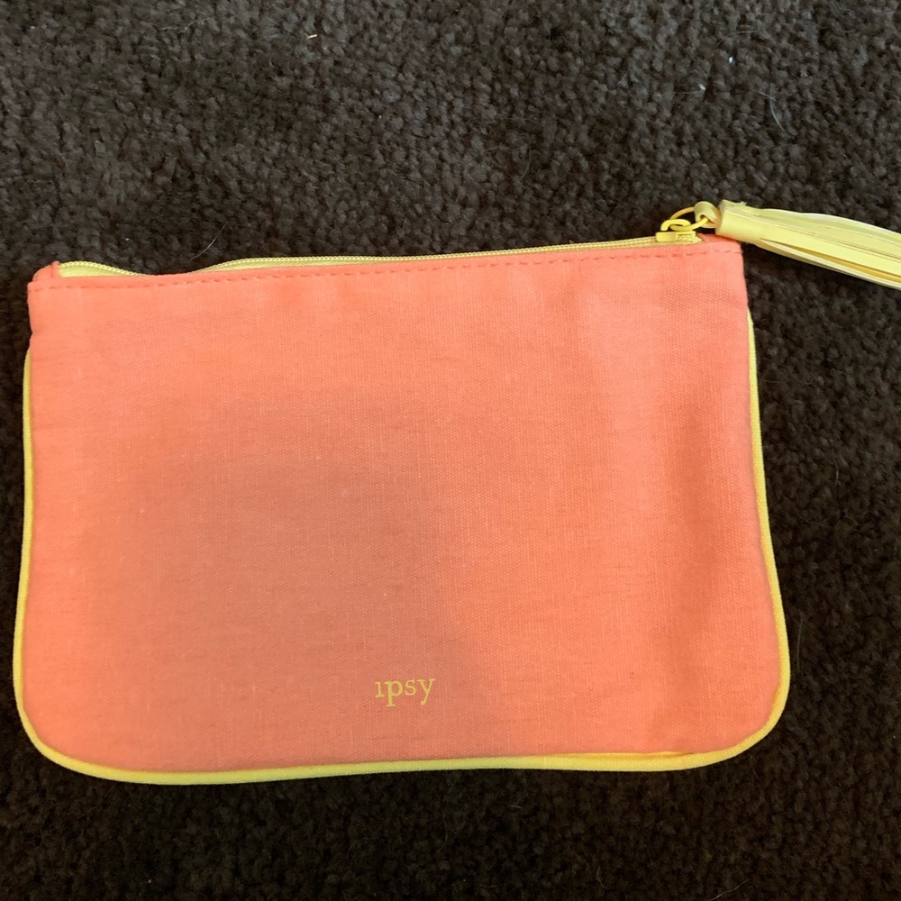 Ipsy Makeup Case